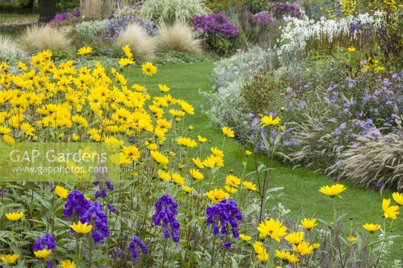 Herbaceous beds. October. Helianthus, Aconitum and grasses.