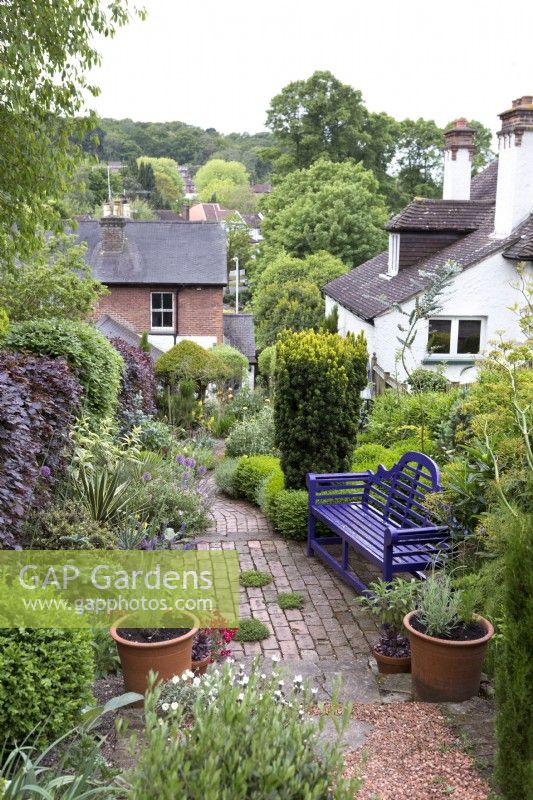 Brick pathway and purple bench in urban garden with box hedging and yew topiary