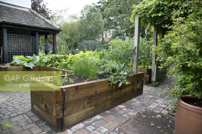 Raised wooden vegetable beds on a paved surface at North Cottage; Staffordshire; Whittington - July