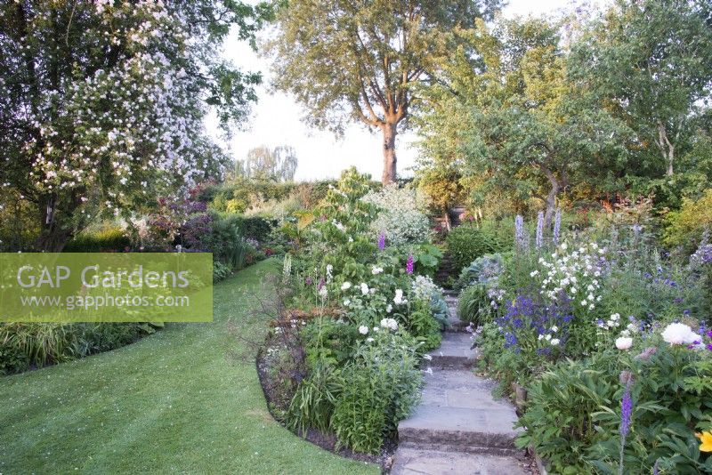 View of summer flowering borders in cottage garden - June
