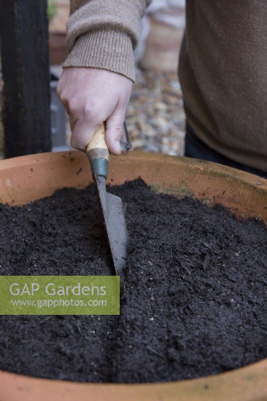 Making drills with trowel to sow Spinach in outdoor container 