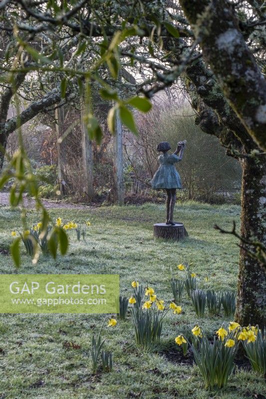 Statue In winter garden, with daffodils planted beneath old apple trees.