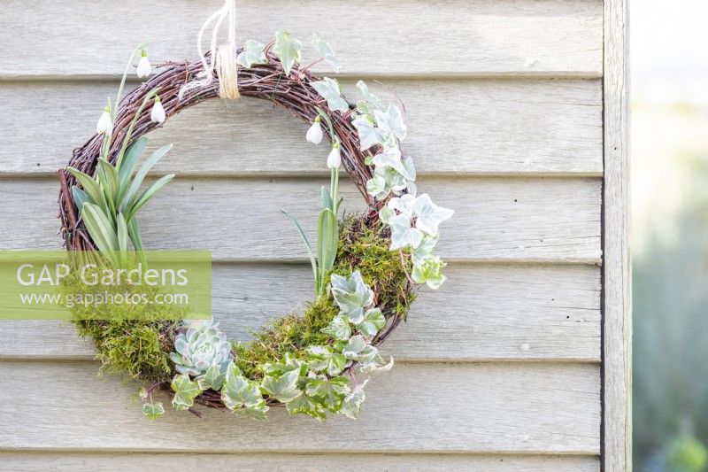 Winter wreath hanging on a wooden wall