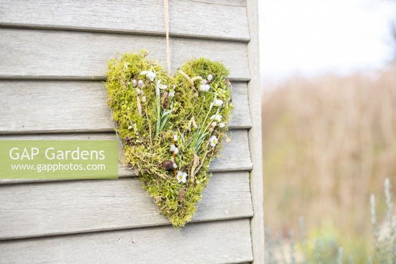 Moss and snowdrop heart hanging on a wooden wall