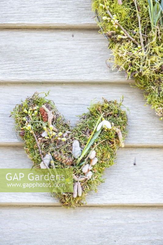 Small moss and snowdrop heart hanging on a wooden wall
