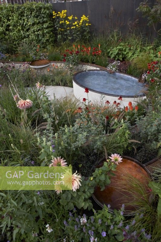 Finding Our Way: An NHS Tribute Garden. Water rills and small pools amongst vibrant planting. Plants include Kniphofia, Echinacea, Dahlia, Panicum virgatum, Agastache and Verbena bonariensis. Designer: Naomi Ferrett-Cohen. Chelsea Flower Show 2021.