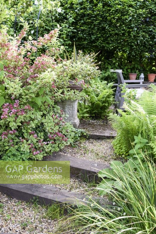 Shallow timber edged steps between lush foliage in a June garden