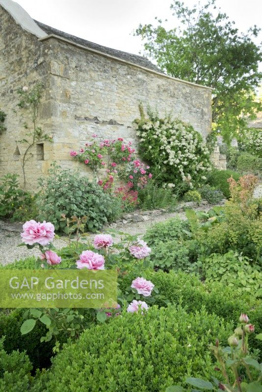 Cotswold manor garden, roses