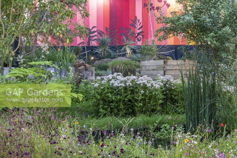 A pink striped panel backdrop contrasts with a drought tolerant garden.