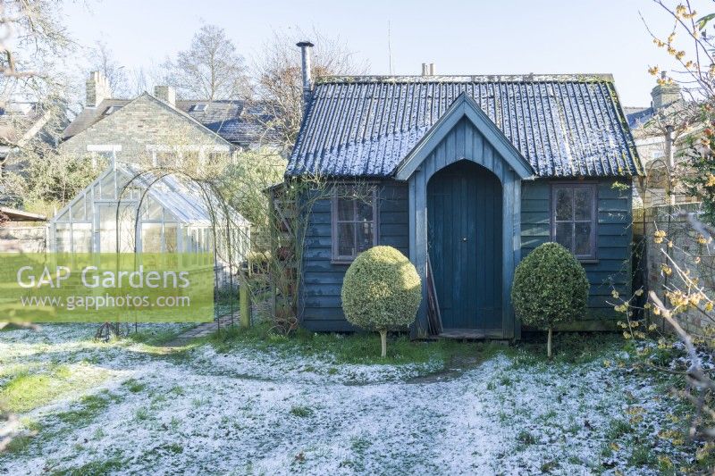 View of garden studio and traditional style greenhouse in wild garden in winter with box topiary. January