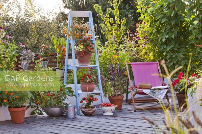 Decked roof terrace with container grown vegetables, herbs and flowers, deckchair and raised bed.