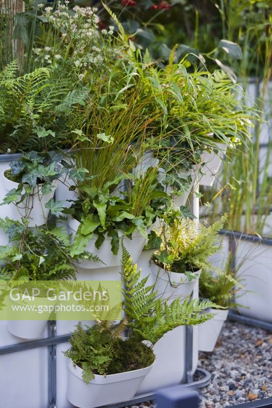 Small forest planting in containers with ferns and grasses. The IBC Pocket Forest at Chelsea Flower Show 2021 Design: Sara Edwards