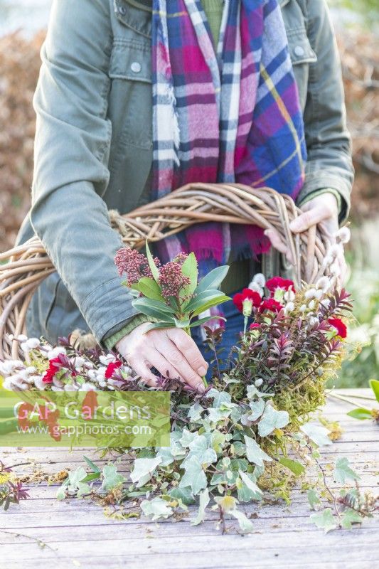 Woman placing Skimmia japonica sprig at the base of the wreath