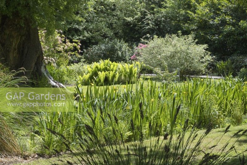 How Hill Secret Garden - Norfolk Broads UK