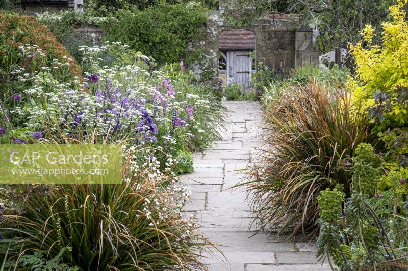Paved path between cottage garden borders with Libertia grandiflora, Anthriscus sylvestris 'Ravenswing' and self seeded Aquilegia