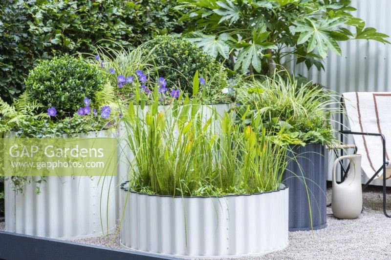 A wide, shallow corrugated steel container makes a miniature water feature, planted with aquatic grasses and pickerel weed.