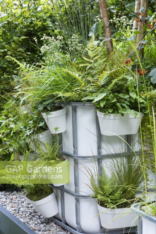 This garden is an urban pocket forest and wildlife haven built in multi-layers from repurposed Intermediate Bulk Containers (IBCs). Ferns, ornamental grasse, berried plants, ivies and small silver birches thrive in the huge containers.