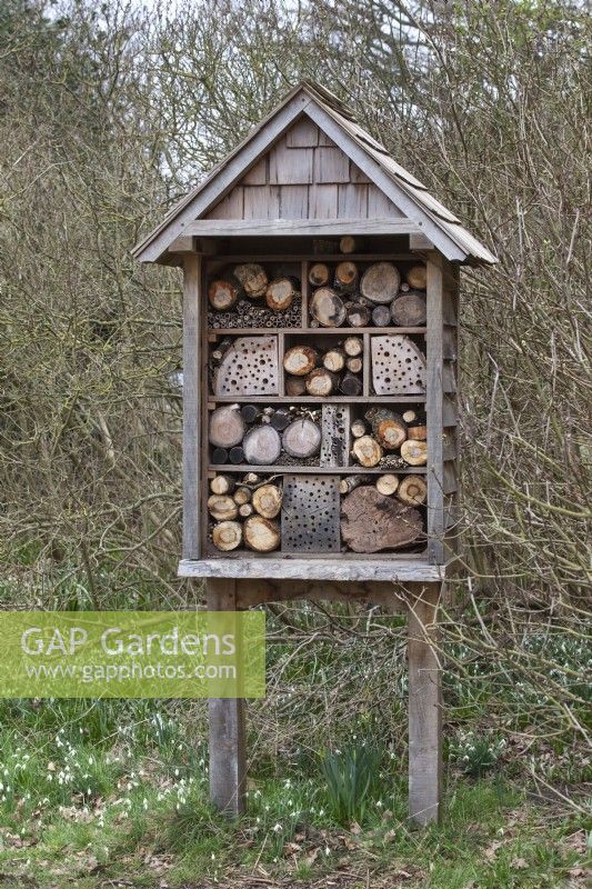 Insect hotel - Insect house - Bug house - Pembroke Lodge, Richmond Park - February