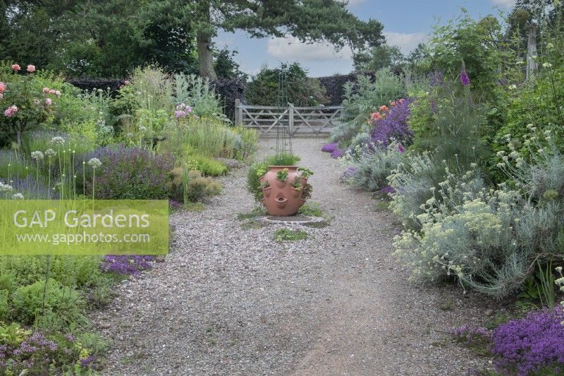 Herb garden at Goldstone Hall Hotel, Shropshire - June
