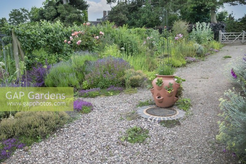 Herb garden at Goldstone Hall Hotel, Shropshire - June