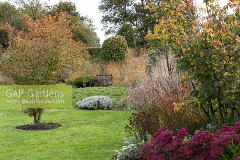 Glimpse past sedum, parrotia, and miscanthus to a bench overlooking a camomile mound. Behind, clipped hornbeam dome. 