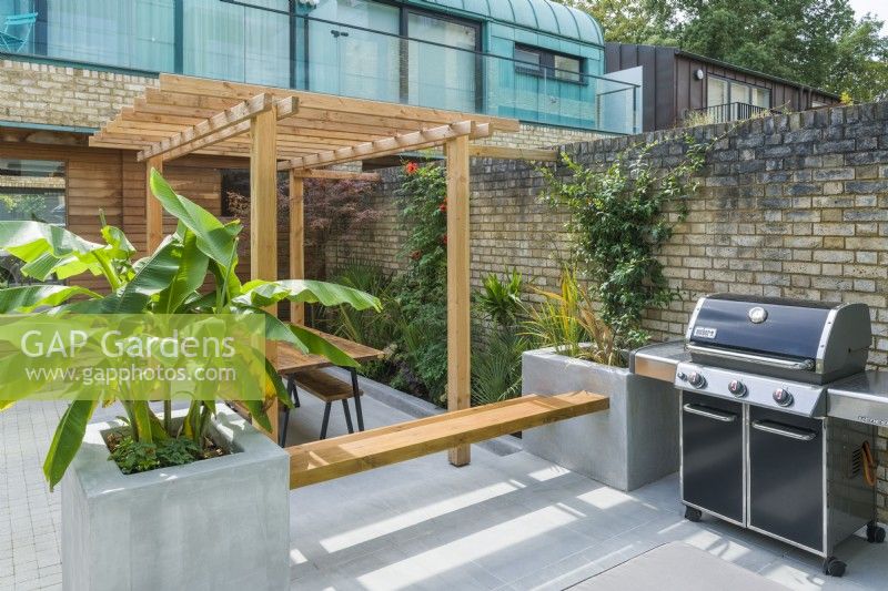 View of a contemporary courtyard garden with pergola, outdoor seating, barbeque, large planters and plants with a tropical appearance. September