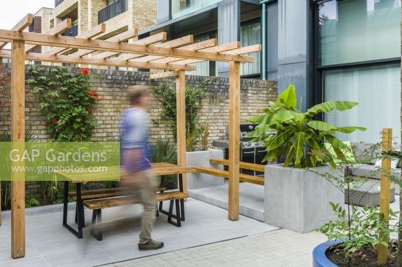 View of a contemporary courtyard garden with pergola, seating, large planters and plants with a tropical appearance. September
