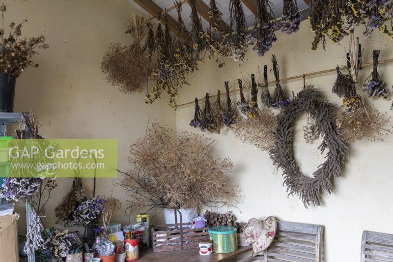 Interior of a garden shed with bunches of dried flowers.
