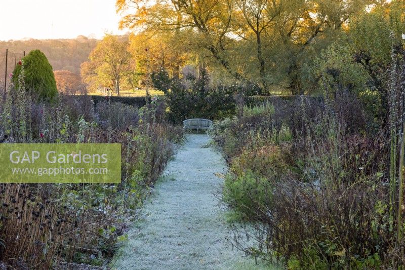 In the kitchen garden, a double herbaceous border in late autumn, ground frost dusting the grassy path. Beyond, early morning light casts a golden glow on trees.