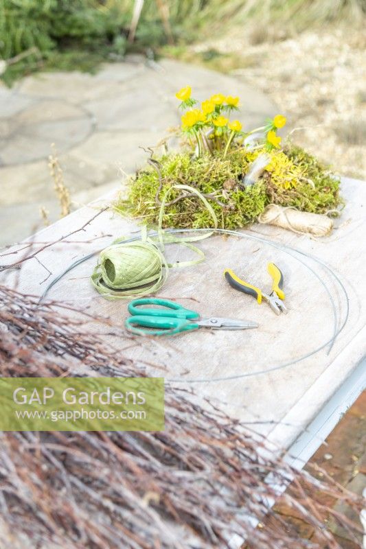 Birch sticks, Winter aconites, wire, raffia, scissors, pliers and string laid out on a wooden surface