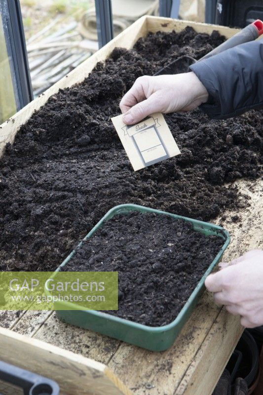 A woman prepares a seed packet to start sowing seeds in a seed tray on a potting bench. 