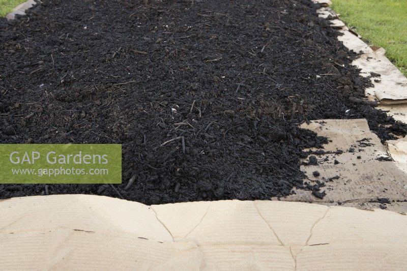 A no-dig bed is prepared. A layer of cardboard is covered in a thick layer of mulch.