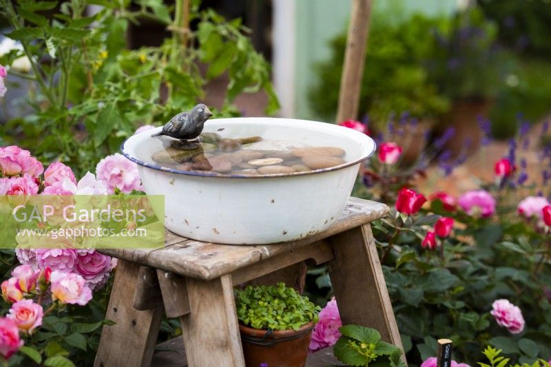 Old enamel bowl used as bird water bath. Down Memory Lane, Designer: The Blue Diamond Design Team. RHS Hampton Court Palace Garden Festival Show, July 2021
