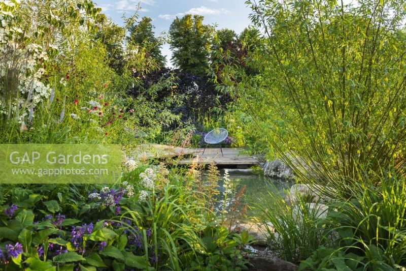 View across pond to seating area on wooden deck. RHS Garden For A Green Future. Designed by Jamie Butterworth. RHS Hampton Court Palace Garden Festival Show, July 2021. 