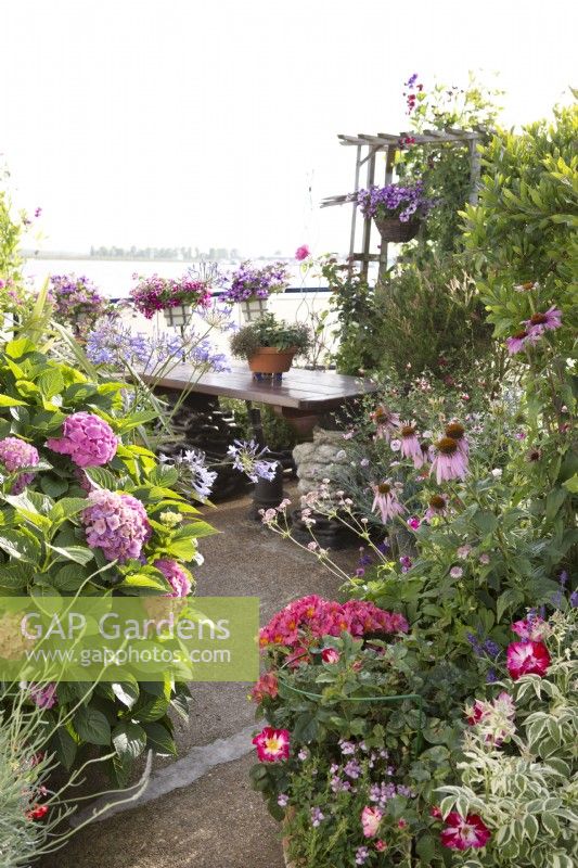 Container gardening on deck of houseboat