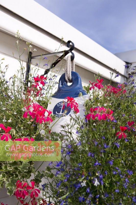 Hanging container buoy with geranium and nemesia