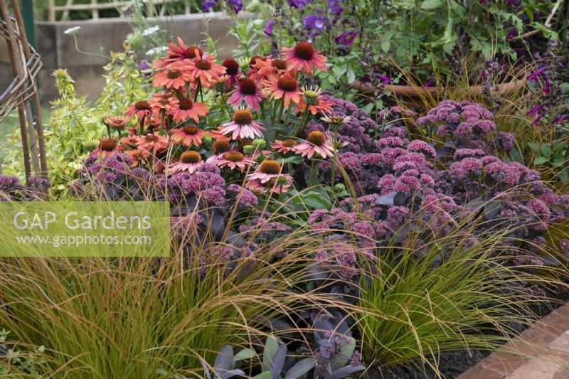 'Flower Power for the Bees' at BBC Gardener's World Live 2021 - mixed perennials and grasses 