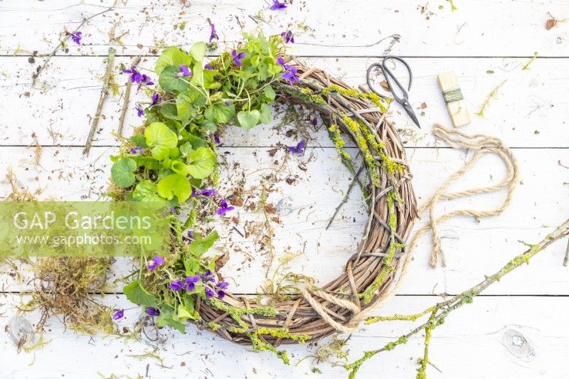 Viola and lichen wreath lying on a wooden surface