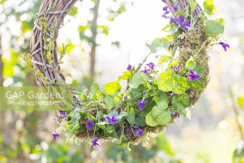 Viola and lichen wreath hanging