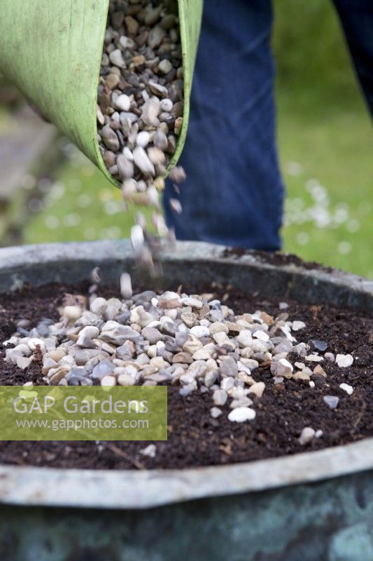 Making an Alpine Container, adding gravel 
