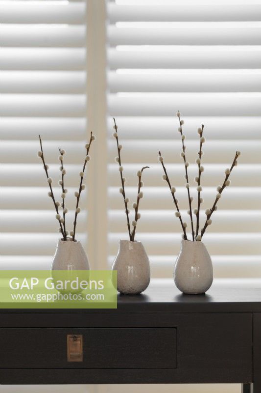 Pussy willow stems in vases on table in front of shutters