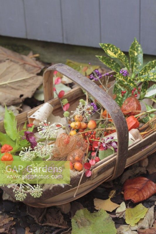 Sussex Trug of Autumn berries, seedheads and flowers amongst autumn leaves