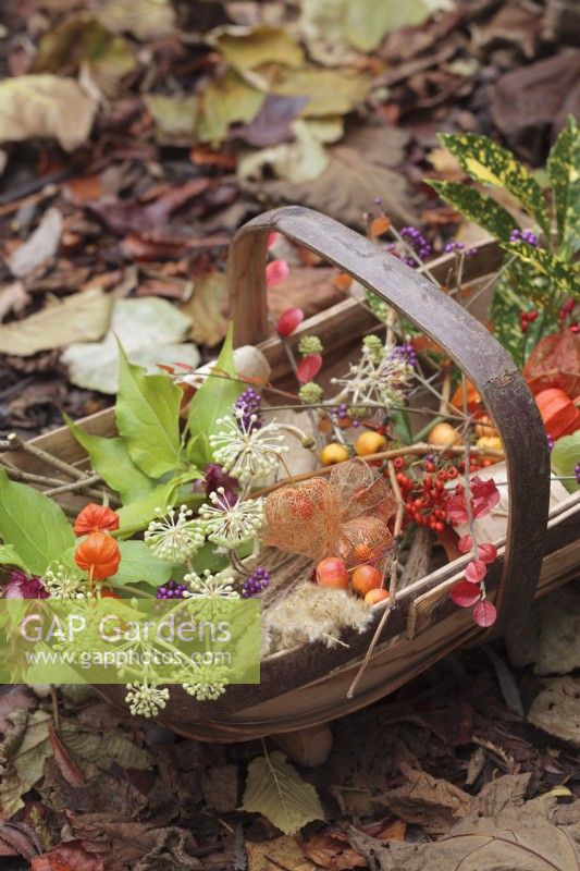 Sussex Trug of Autumn berries, seedheads and flowers amongst autumn leaves 