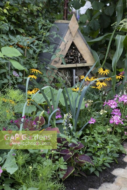 'Make Do and Mend' at BBC Gardener's World Live 2021 - hand made insect hotel behind colourful mixed perennials