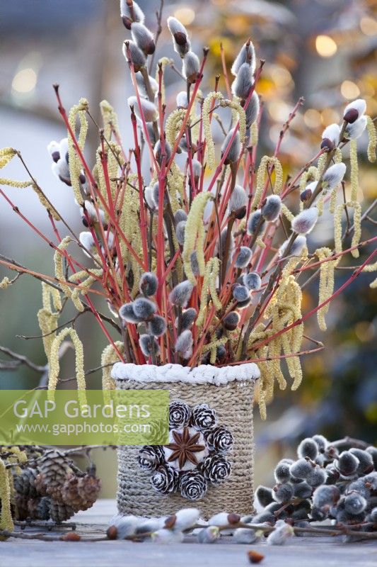 Winter arrangement with hazel and pussy willow catkins and dogwood stems in vase.