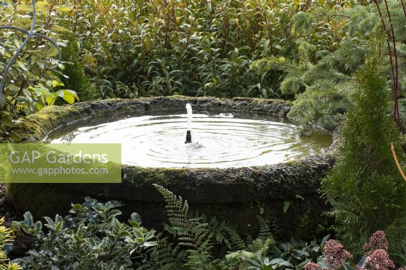 Water feature under the pergola in John's Garden at Ashwood Nurseries - Kingswinford - Spring