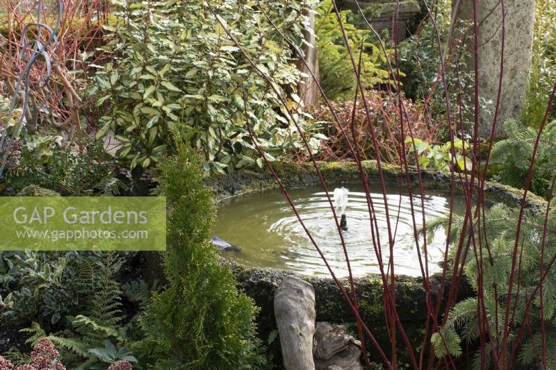 Water feature under the pergola in John's Garden at Ashwood Nurseries - Kingswinford - Spring