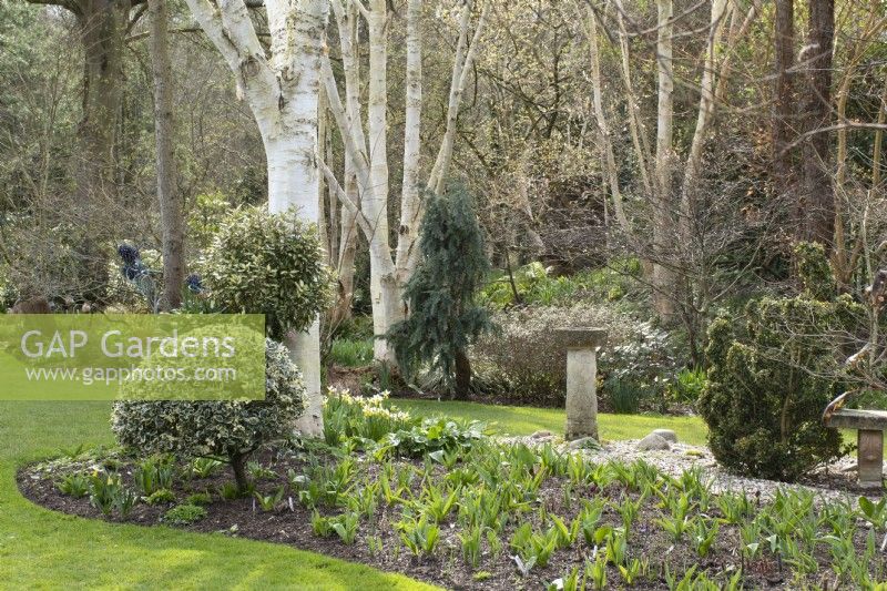 Spring border in John's Garden at Ashwood Nurseries - Kingswinford - Spring