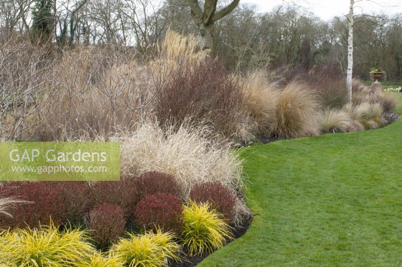Long grass border in John's Garden at Ashwood Nurseries - Kingswinford - Spring