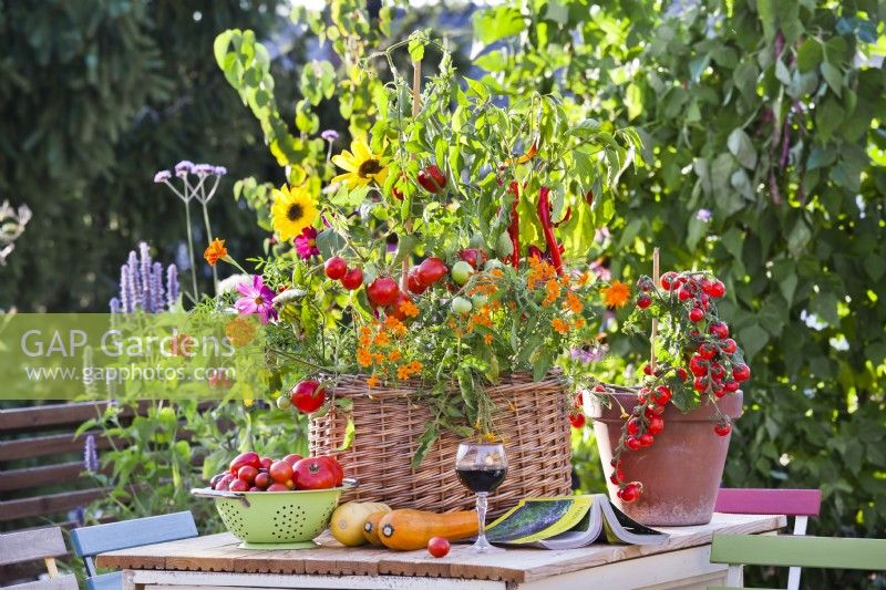 Wicker container planted with tomatoes, peppers and annual flowers on the table.